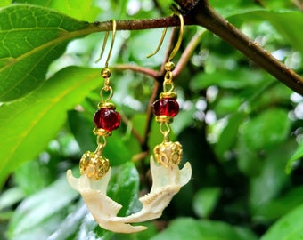 Può includere: Un paio di orecchini dorati con perline di vetro rosse e ciondoli a forma di mandibola di osso bianco.