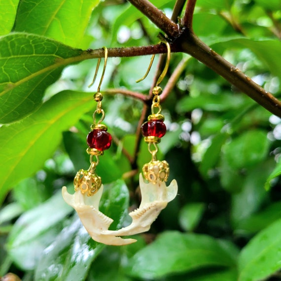 Ethically sourced mandible earrings | jaw bone earrings | sustainable jewelry | gift for biologist | bone jewelry