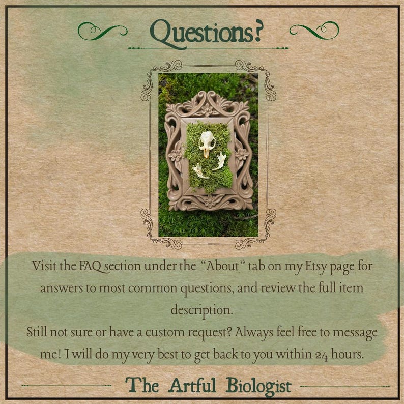 May include: A framed display featuring a small animal skull and bones set against green moss. The frame is ornate and beige. The text "Questions?" is at the top, with additional text below, including "The Artful Biologist".