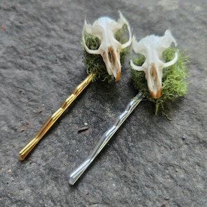 May include: Two unique hair pins. Each pin features a small animal skull atop a bed of green moss. One pin is gold-colored, the other is silver. The skulls have a natural, off-white color with tan accents.