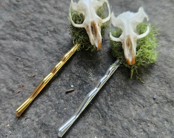 Può includere: Due forcine per capelli uniche. Ogni forcina presenta un piccolo teschio di animale su muschio verde. Una forcina è dorata, l'altra argentata. I teschi sono biancastri con dettagli marroni.