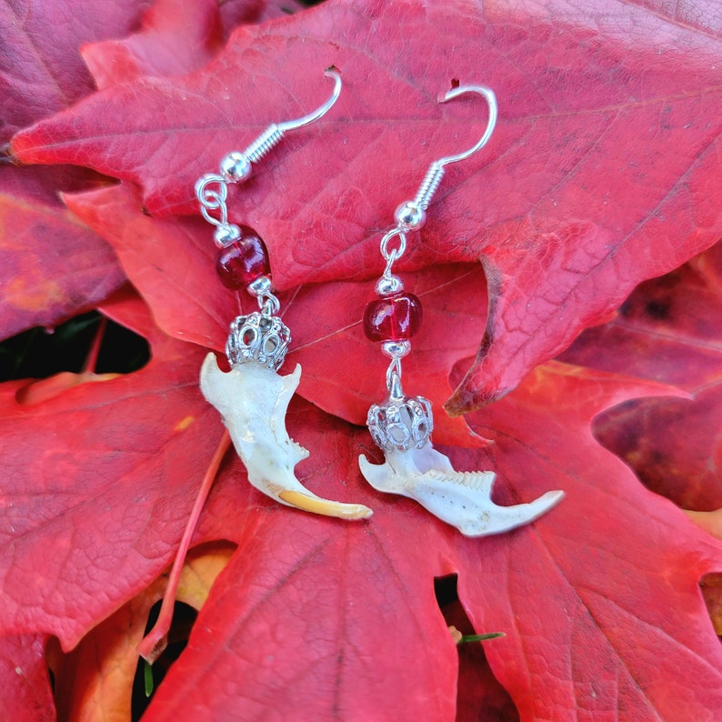 May include: Unique dangle earrings featuring small animal jawbones with silver-tone metal accents and red glass beads. The earrings hang from silver-tone ear wires and are displayed on a red leaf.