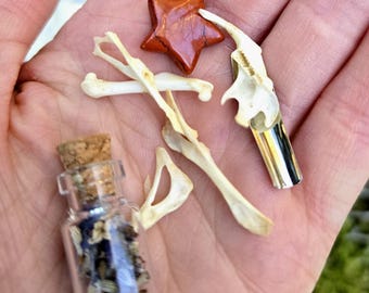 Può includere: Un piccolo flacone di vetro pieno di erbe e fiori secchi, una pietra rossa a forma di stella e diverse piccole ossa bianche.