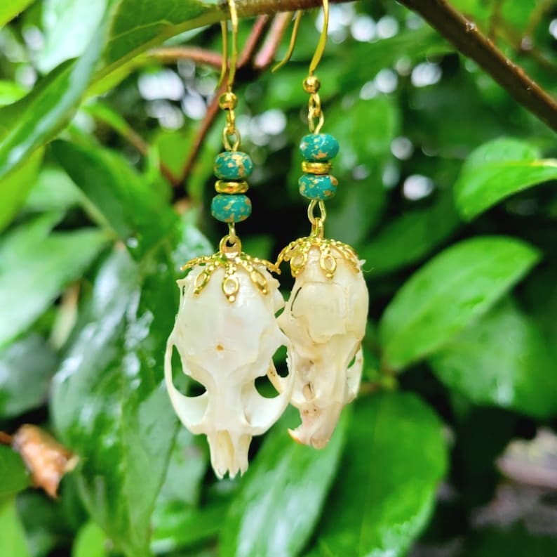 Ethically Sourced Skull Earrings From Barred Owl Pellets Etsy