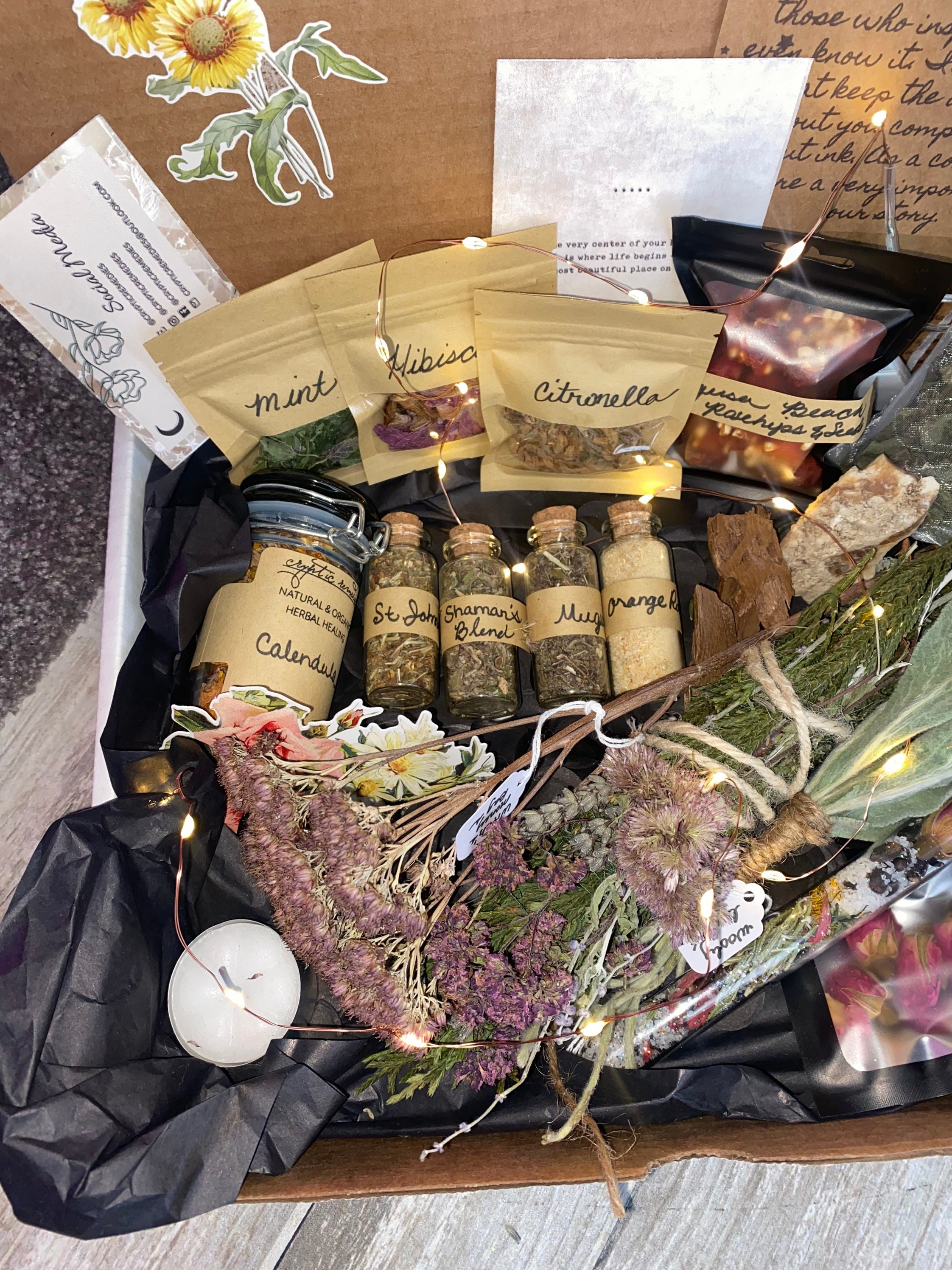 Mystical Herbs kit Cryptic remedies Etsy