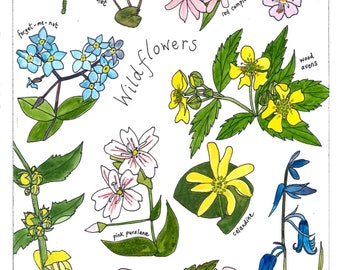 Wildflowers Limited Edition Giclee Print - spring wildflowers print - A4 print