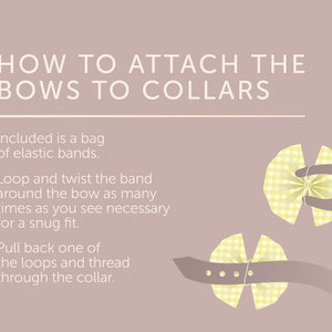 May include: Instructions on how to attach yellow gingham bows to collars using elastic bands. The text reads "How to attach the bows to collars. Included is a bag of elastic bands. Loop and twist the band around the bow as many times as you see necessary for a snug fit. Pull back one of the loops and thread through the collar."