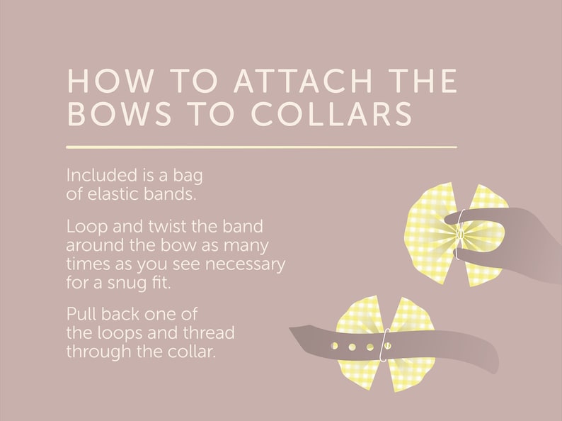 May include: Instructions on how to attach yellow gingham bows to collars using elastic bands. The text reads "How to attach the bows to collars. Included is a bag of elastic bands. Loop and twist the band around the bow as many times as you see necessary for a snug fit. Pull back one of the loops and thread through the collar."