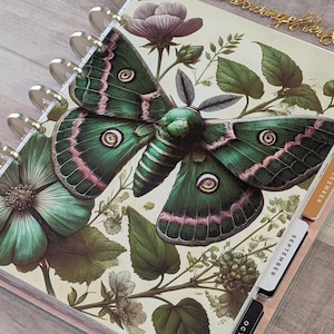 May include: A disc-bound planner featuring a large green moth and botanical illustrations on the cover. The planner includes gold-colored discs and side tabs labeled with the months of September, October, November, and December in black text.