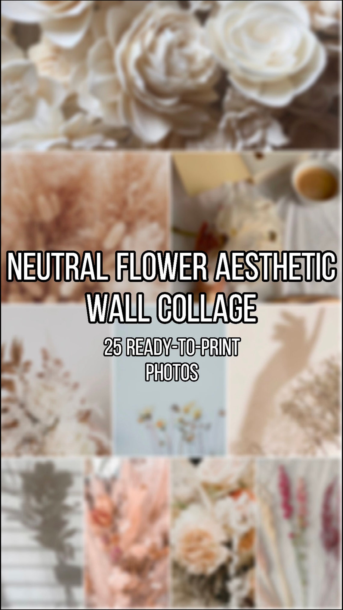 Neutral Flower Aesthetic Wall Collage Etsy