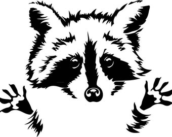 Download Raccoon Clipart Etsy