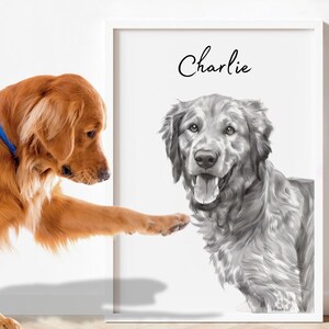 Custom Pet Portraits Using Pet Photo, Personalized Digital Dog Portraits, Cat Portraits, Custom Dog Portraits, Custom Pet Art, Pet Drawing