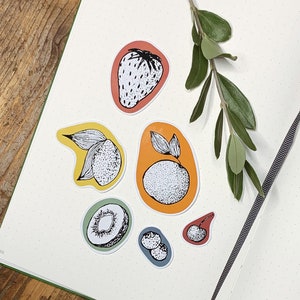 Fruit stickers - set of 6 stickers - bullet journal/planner stickers