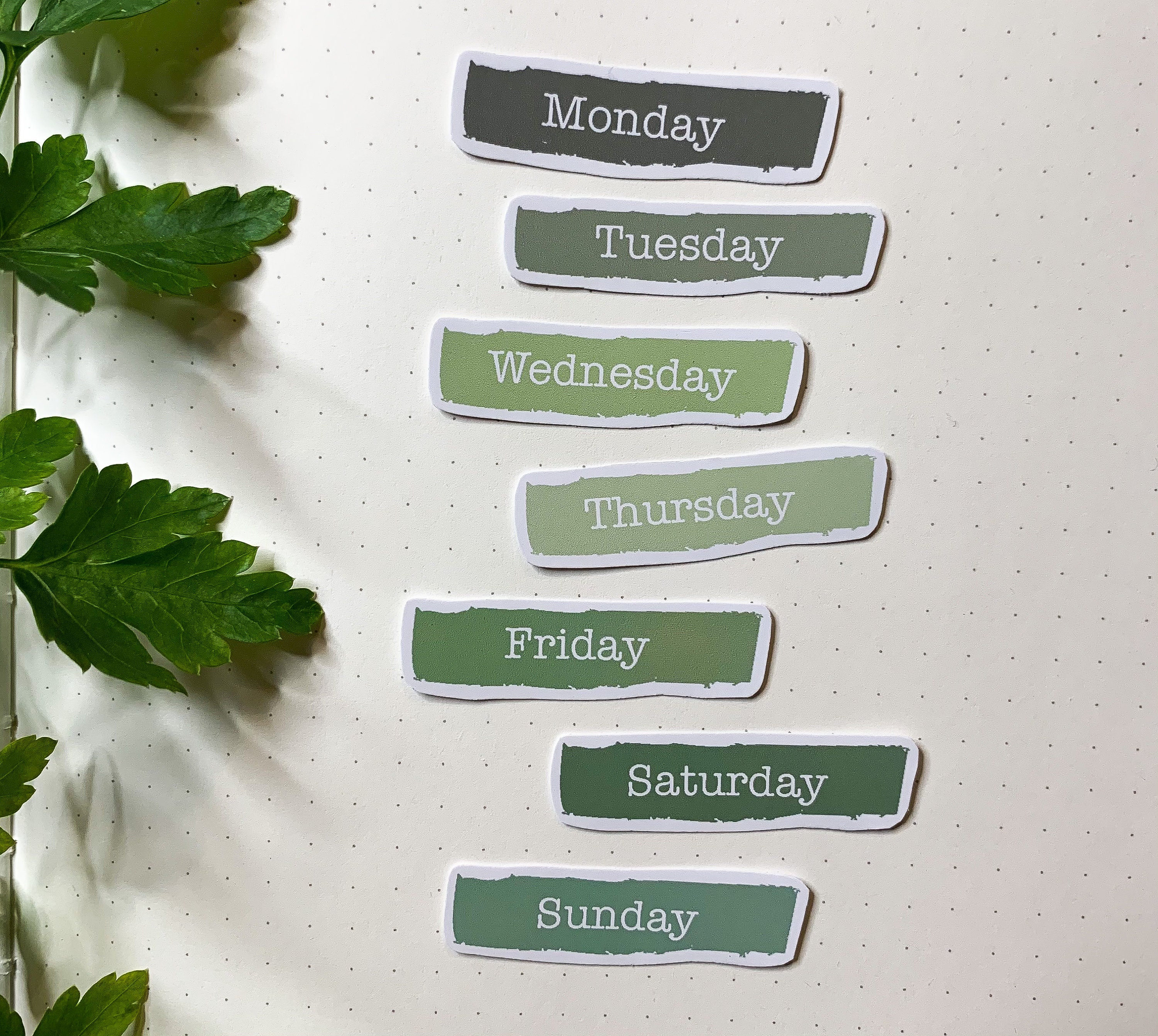 Cute Planner Sticker Set. Journal Diary Stickers. Days of the Week Stickers.  to Do List. 