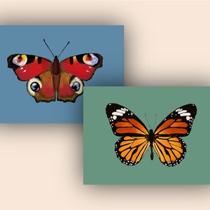 Conjunto de 2 postales de mariposas diferentes - Conjunto de postales de mariposas - La mariposa pavo real y la mariposa monarca