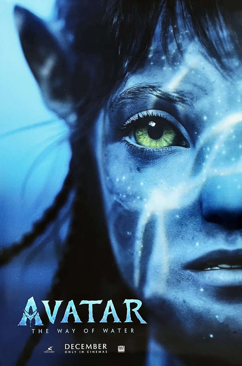 Avatar Original 2 Sided Movie Poster 27x40 INTL Advance Etsy