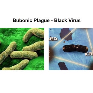 May include: A microscopic image of Yersinia pestis bacteria, the cause of bubonic plague. The bacteria are rod-shaped and appear yellow against a green background. A second image shows a close-up of the bacteria, appearing black against a blue background.