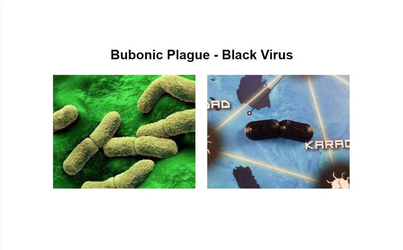 May include: A microscopic image of Yersinia pestis bacteria, the cause of bubonic plague. The bacteria are rod-shaped and appear yellow against a green background. A second image shows a close-up of the bacteria, appearing black against a blue background.