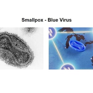 May include: A black and white microscopic image of the smallpox virus. The image is labelled "Smallpox - Blue Virus".