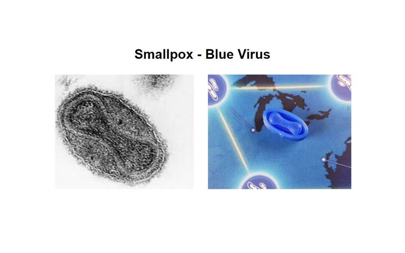 May include: A black and white microscopic image of the smallpox virus. The image is labelled "Smallpox - Blue Virus".