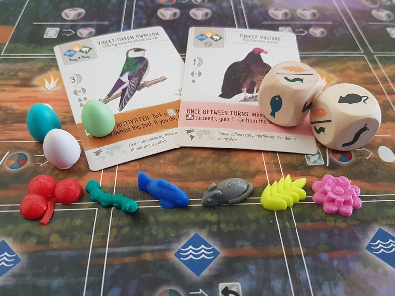 May include: A board game with colorful game pieces, dice, and cards. The cards feature illustrations of birds and the text "Violet-Green Swallow" and "Turkey Vulture".