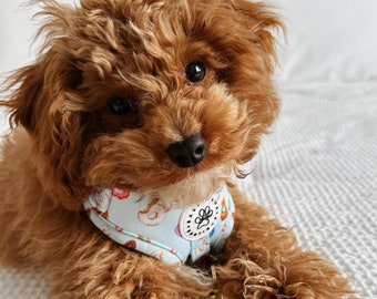 Peitoral para cães Donuts & Pawpuccinos: Peitoral ajustável de neoprene para filhotes de raças pequenas