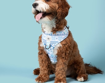 Arnês para cães após o esqui: Arnês para filhotes Pixel Party No-Pull