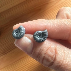 Ammonite fossil stud earrings made from polymer clay | Jurassic Coast fossil earrings