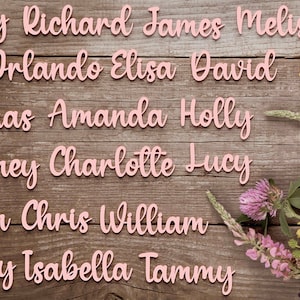 Blush Pink Place Names - Dusty Rose Wedding Place Cards - Made From Acrylic