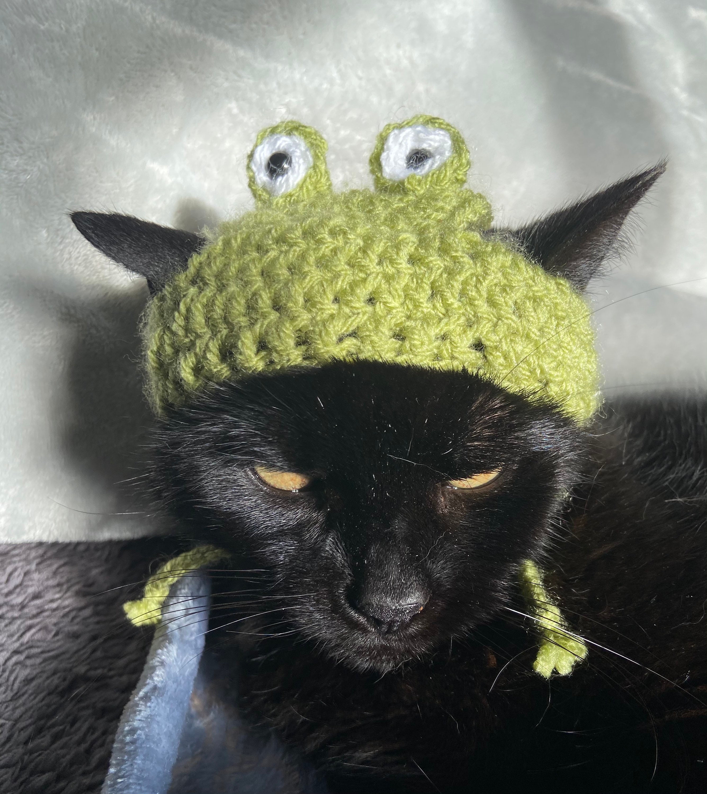Crochet Frog Cat Hat Etsy
