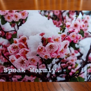 Card with nature scene and inspiring phrase.