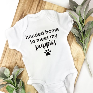 headed home to meet my puppies bodysuit svg﹒baby going home outfit﹒sweet bodysuit﹒baby bodysuit﹒baby announcement bodysuit﹒baby gift