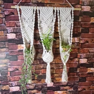 May include: Three macrame plant hangers with a wooden dowel rod at the top. Each hanger has a small potted plant inside. The hangers are white and the plants are green.