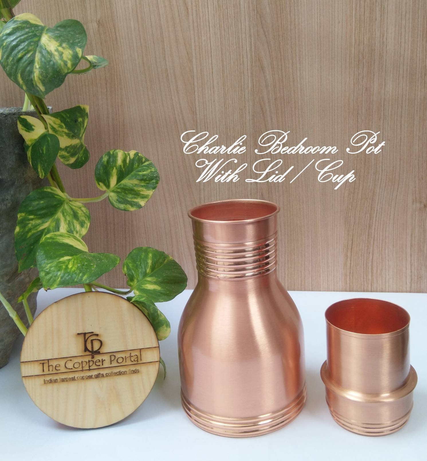 Wine Carafe w/ Modern Copper Plated Design – MyGift
