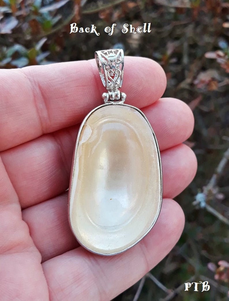 Abundance Fertility Rebirth ~ Authentic Natural Brown Snail Conch Shell 2 14 Pendant 18K White Gold Plated