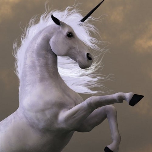 UnicornCubCadetParts - Etsy