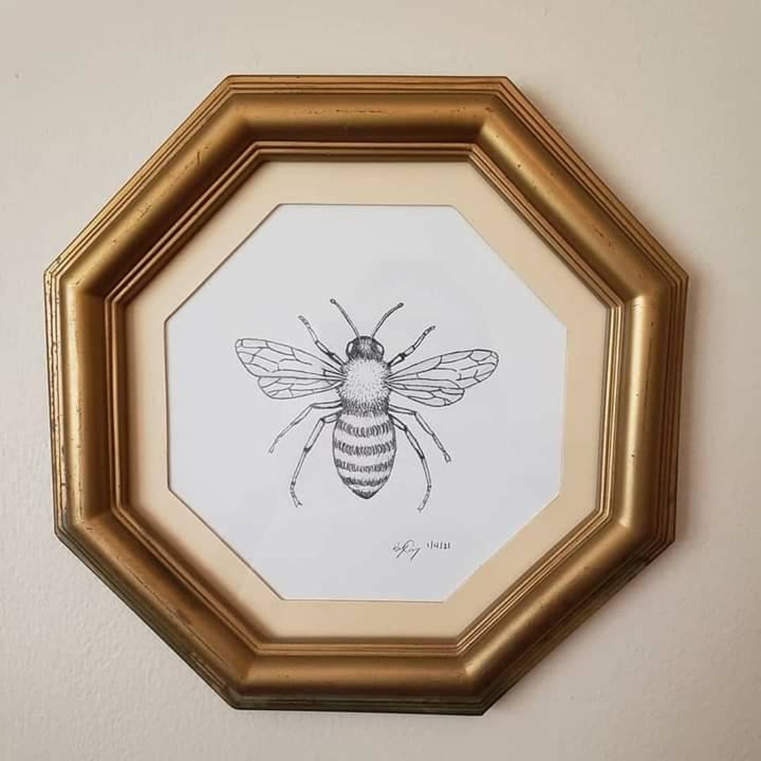 How to draw a honey bee  Step by step Drawing tutorials