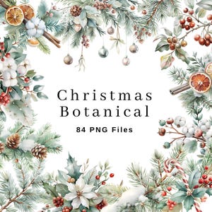 Clipart botánico navideño, clipart de acuarela de invierno, clipart navideño, PNG navideño, clipart para uso comercial, paquete de clip art festivo