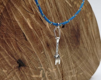 Tricam climbing pendant