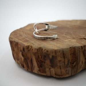 Climbing quickdraw ring, a carabiner...