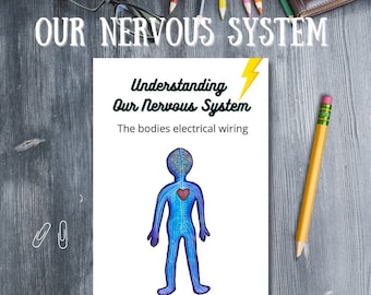 Nervous System Stress Understanding Stress for kids Counselors Teachers Therapists