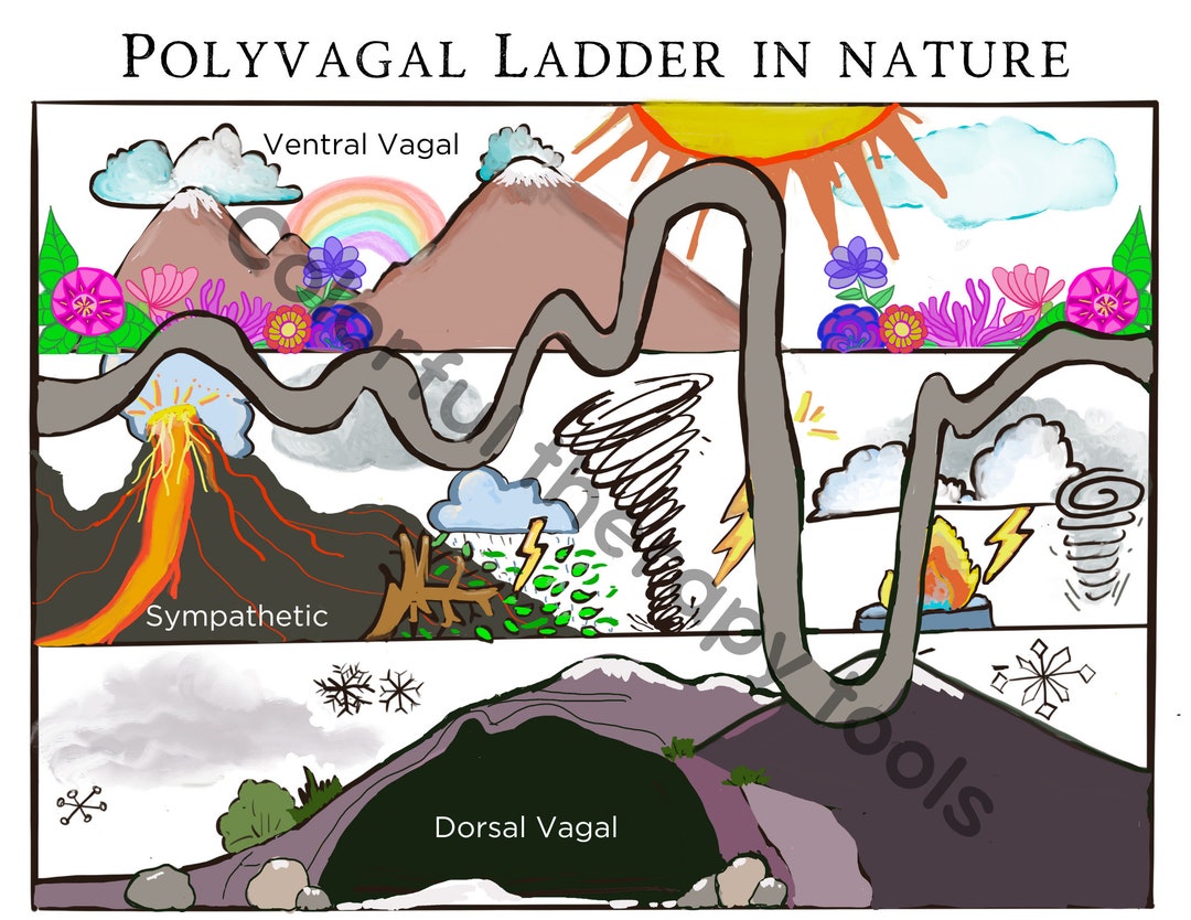 Polyvagal Theory Ladder in Nature Therapy Office Art - Etsy