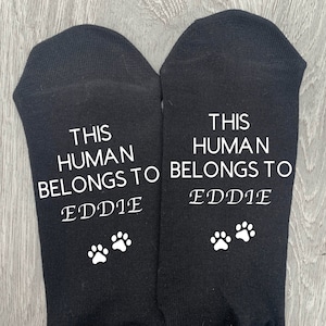 Pet Present Socks, This Human Belongs To (Any Name), Pet Parent Gift, Birthday Gift, Dog Gift, Cat Gift