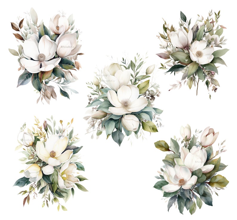 K&ouml;nnte beinhalten: Aquarellillustrationen von wei&szlig;en Magnolienbl&uuml;ten mit gr&uuml;nem und braunem Laub. Die floralen Arrangements sind in verschiedenen Kompositionen, perfekt f&uuml;r botanische Kunst oder Hochzeitseinladungen. Die Blumen haben ein weiches, zartes Aussehen.