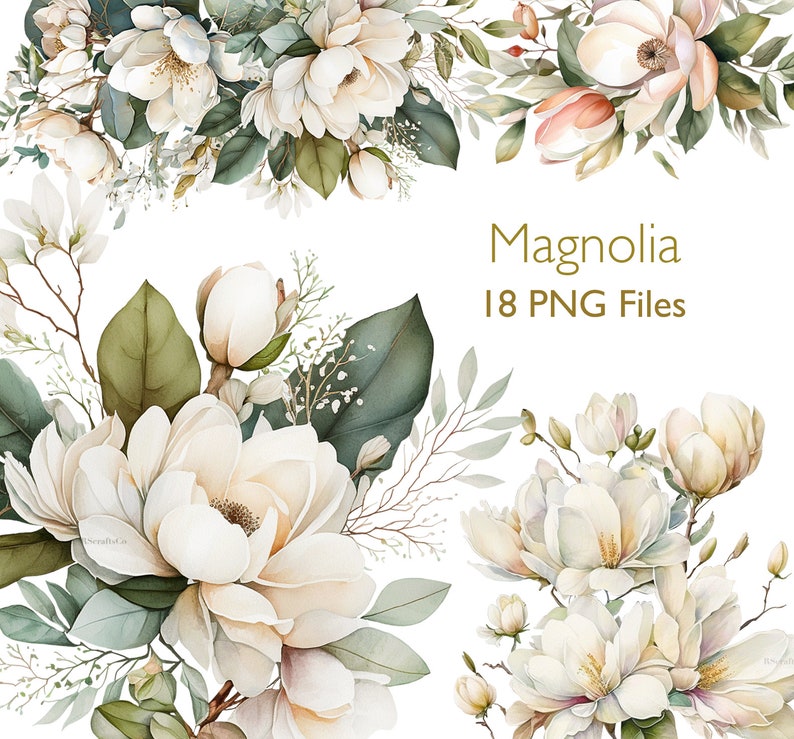 K&ouml;nnte beinhalten: Aquarell-Illustration von Magnolienbl&uuml;ten und -laub in Wei&szlig;-, Creme- und Gr&uuml;nt&ouml;nen. Der Text "Magnolia 18 PNG Files" ist enthalten. Geeignet f&uuml;r digitale Kunstprojekte.