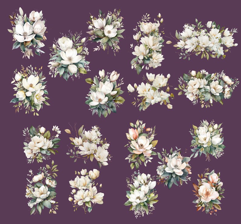 K&ouml;nnte beinhalten: Aquarellillustrationen von wei&szlig;en Magnolienblumenstr&auml;u&szlig;en mit gr&uuml;nen Bl&auml;ttern und Stielen. Die floralen Arrangements sind vor einem dunkelvioletten Hintergrund angeordnet. Das Bild zeigt verschiedene Anordnungen der Blumen.