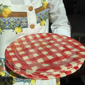 Handgemaakte organische steengoed keramische diner plaat-rode en witte Buffalo Plaid afbeelding 4