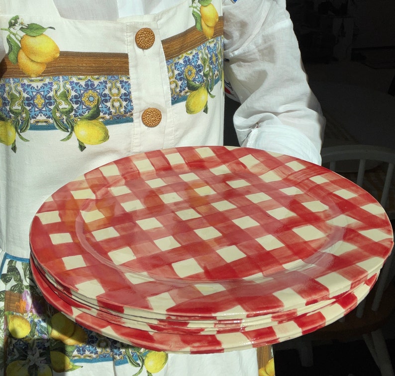 Handgemaakte organische steengoed keramische diner plaat-rode en witte Buffalo Plaid afbeelding 4