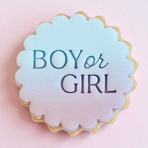 Boy or Girl Baby Cookie Stamp, baby Showers and Birthdays! M&S size cookie cutter, clay stamp, gender reveal embosser cookie stamp