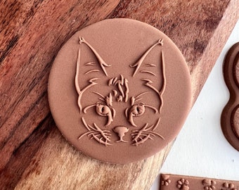 Cat acrylic fondant stamp, embosser for cookies, cupcakes, and cake decorating debosser